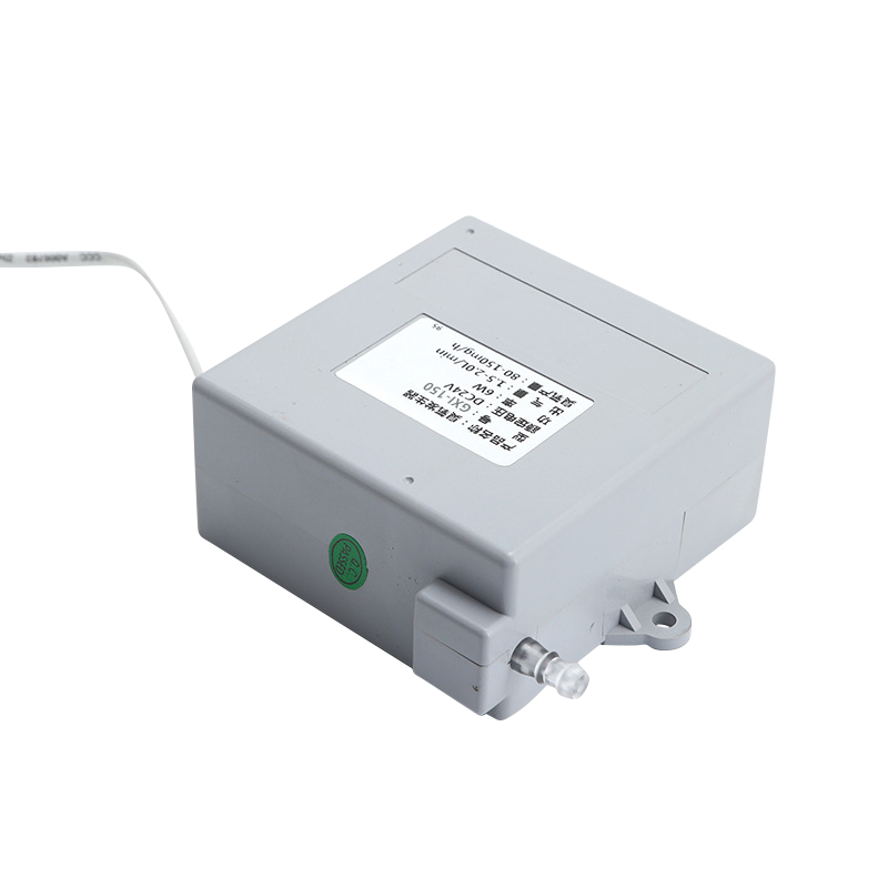 GXI-150 一体式SPA臭氧200毫克一体式空气臭氧发生器