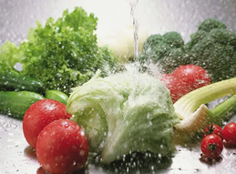疫情囤菜，臭氧洗菜机来帮忙，那利用臭氧对果蔬消毒的有点主要什么特点呢？