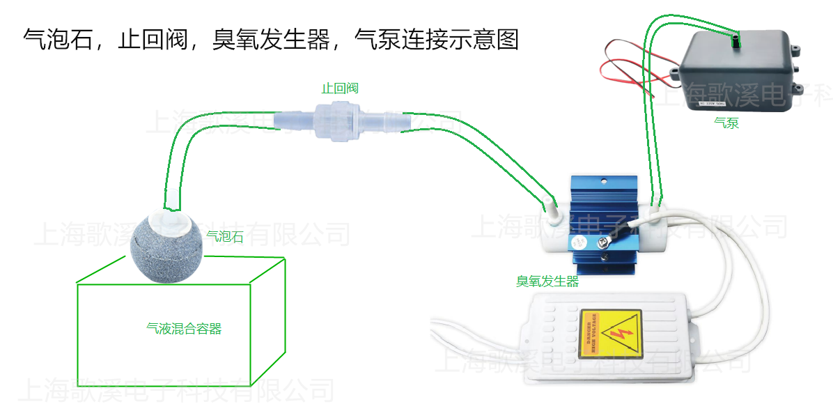 球状气泡石(图1)